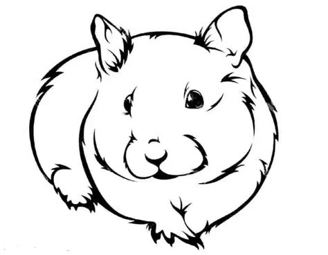 Hamster Mandala Para Colorir Imprimir E Desenhar Colorirme Porn Sex