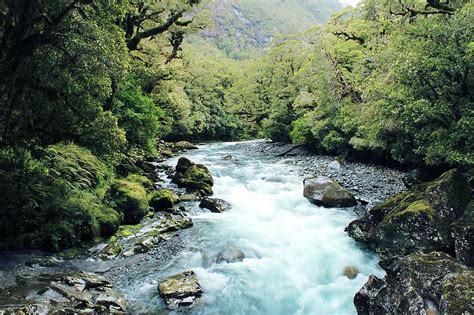 River å Water Natural Landscape Streams New Zealand Trees