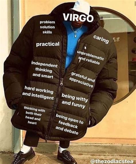 32 Funny And Relatable Virgo Memes That Are Basically Facts Virgo