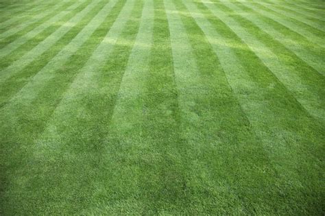 How To Create A Cool Mowing Pattern On Your Lawn Diy Repair Clinic