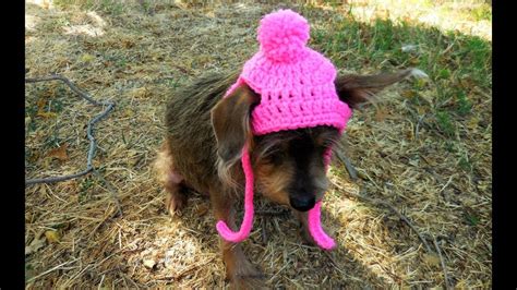 How To Crochet A Dogcat Hat Tutorial Sizexs Small Crocheteu