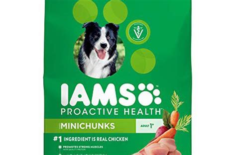 As a responsible horse owner, it's key to understand the common vital signs of your equine companion, especially throughout the taxing summer months. How Much Food Should I Feed My Dog in 2020 ...