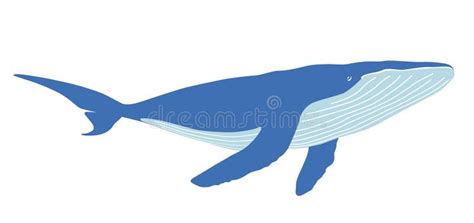 Vector Whale Flat Illustration Isolated On A White Background Stock