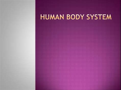 Ppt Human Body System Powerpoint Presentation Free Download Id9574756