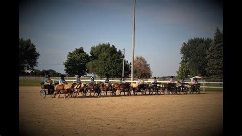 Miniature Horse Driving Drill Team 4 H Boone County Illinois Youtube