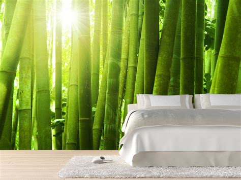 If you'd rather spend an evening looking out at the stars than watching tv, this forest dreams scene is definitely for you. Bamboo forest with morning sunlight wall Mural Wall Mural ...