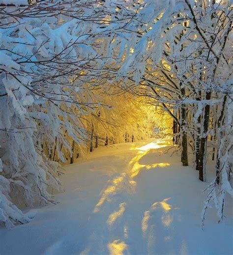 Winter Wonder Land Breathtaking Beautiful Landscapes Beautiful Places