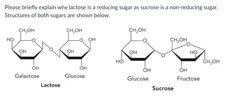 Solved Please Briefly Explain Why Lactose Is A Reducing