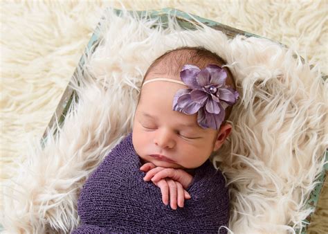 Portrait Of Newborn Baby Girl With Purple Flower By Evan Pollock