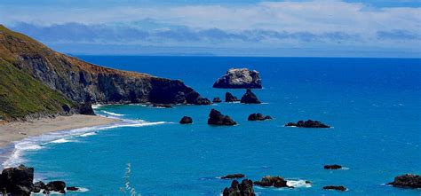 Top 7 Things To Do In Bodega Bay