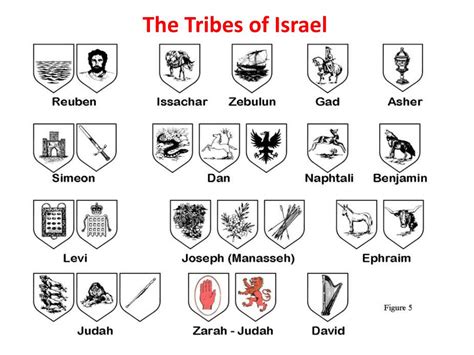 Ppt The Tribes Of Israel Powerpoint Presentation Free Download Id
