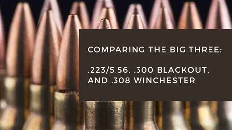 Comparing The Big Three 223556 300 Blackout And 308 Winchester
