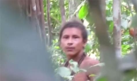 survival international releases footage of awa indigenous tribe in brazil rainforest metro news
