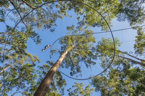 Western Sydney Parklands Treetops Adventure