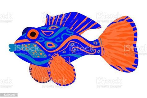 Vector Illustration Of A Mandarin Fish Isolated On A White Background