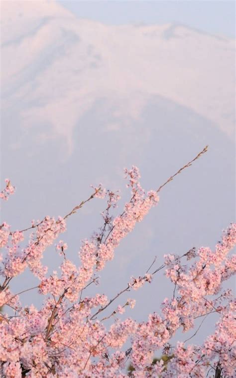 Find over 100+ of the best free pink aesthetic images. Free download sakura wallpaper Tumblr Kawaii Aesthetic in 2019 Pink retro 1080x1920 for your ...