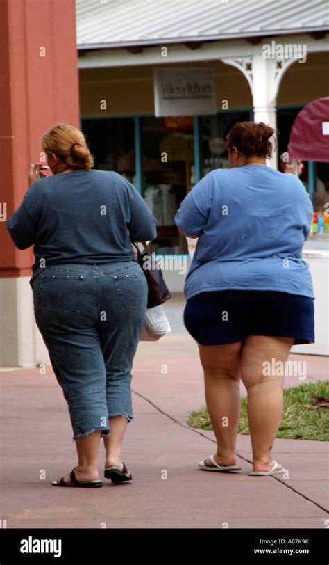 Rückansicht Des Zwei übergewichtige Frauen Zwei Fette Damen