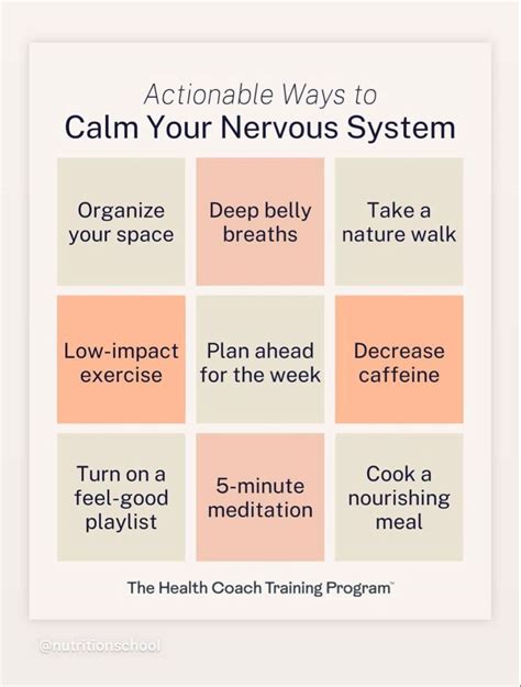 Actionable Ways To Calm Your Nervous System Organize Your Space Deep