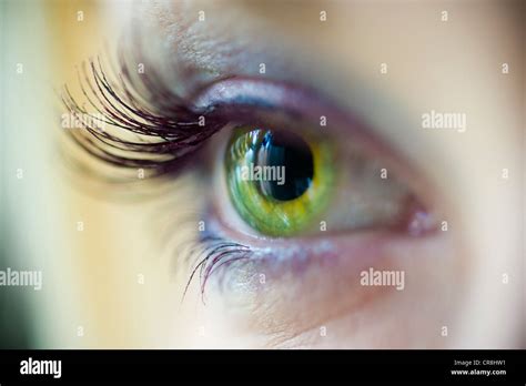 Long Eye Hi Res Stock Photography And Images Alamy
