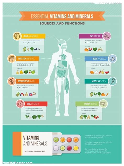 Poster Of Nutrition Vitamins And Health Infographics Human Body Organs