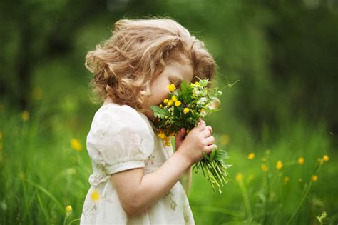 Little Girl Picking Wild Flowers Stock Photo Free Download