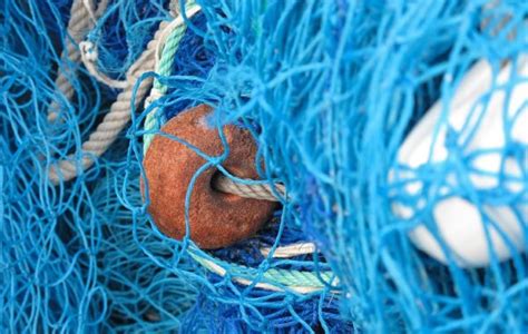 Nylon Yarns Made From Recycled Fishing Nets Featured In Sustainable