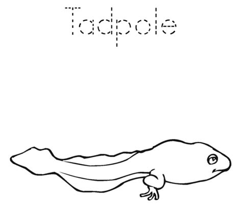 Tadpole With Legs Coloring Page Coloring Pages