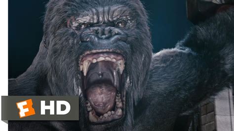 King kong is a 2005 american giant monster film produced by universal pictures , and a remake of the 1933 film of the same name. King Kong (6/10) Movie CLIP - Kong's Rampage (2005) HD ...
