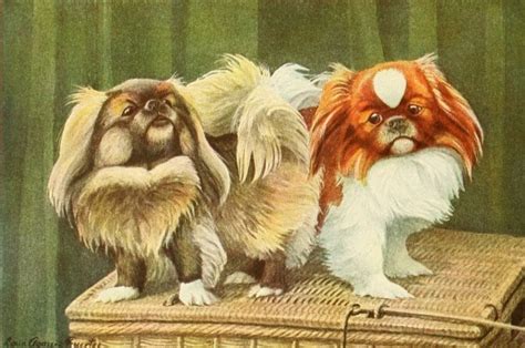 Vintage Dog Illustrations Free Vintage Illustrations