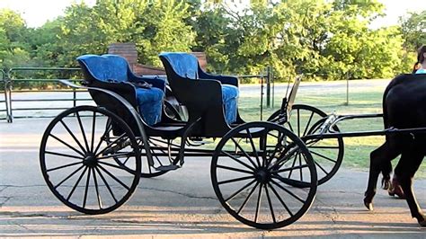 Horse Carriage For Sale Youtube