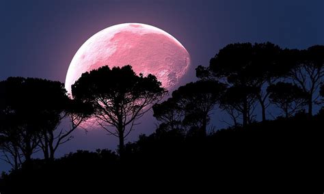 Full April Pink Moon Of 2022 Will Be Shining Soon Followed By Lunar