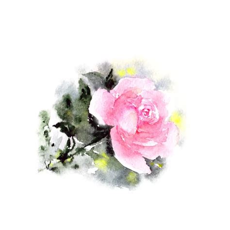 Vintage Watercolor Rose — Stock Photo © Oaurea 109952576