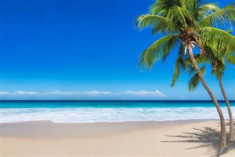 Paradise Caribbean Beach By Lucky Photographer Caribbean Beaches