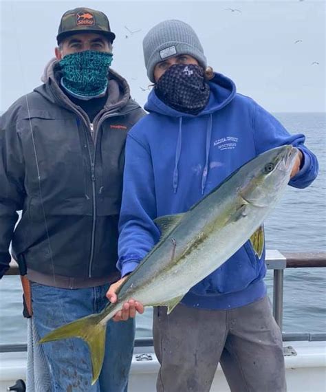 Fish Report - Signs of Yellowtail Today
