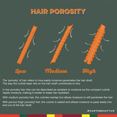 Everything You Need To Know About Hair Porosity Lookfantastic