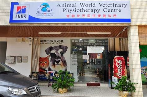 19 Most Popular Vet Clinics In Singapore For Your Furry Friend