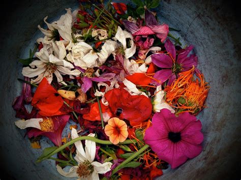 Drying flowers allows you to savor your favorite bloom for longer than just one season, and we. Creative Ways to Preserve your Flowers | Avas flowers ...