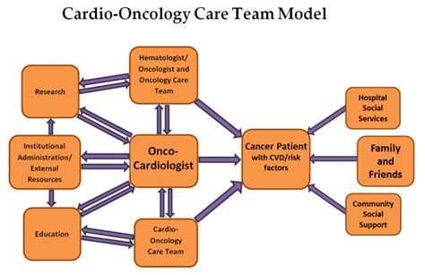 Heart Disease In Cancer Patients Onco Cardiology Cardio Oncology