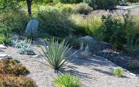 What Is Xeriscaping Definition Tips And Benefits