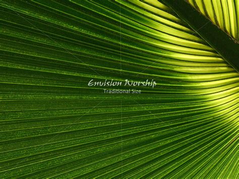 Palm Sunday Slide ~ Celebrate Palm Sunday ~ Hosanna