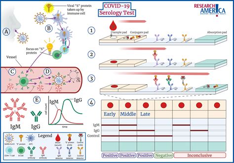 Explained: How a COVID-19 Serology Test Works And Obstacles to its Use