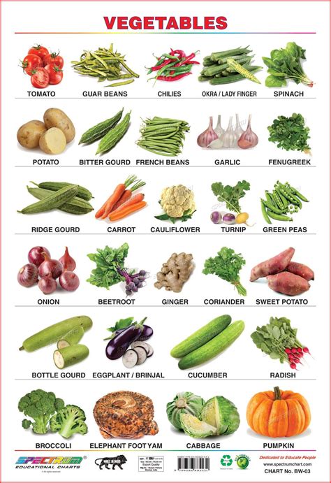 List Of Vegetables Useful Names Of Vegetables With The Picture