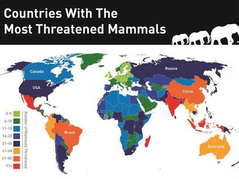 Where Most Threatened Mammals Live Map Business Insider