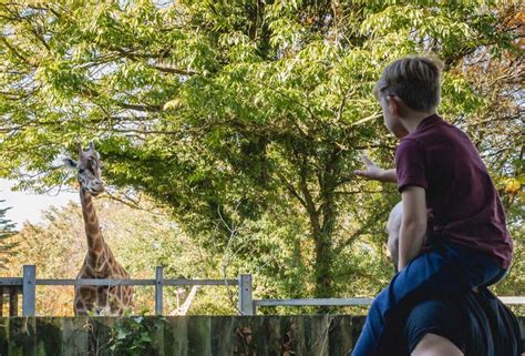 Plan Your Visit Paignton Zoo