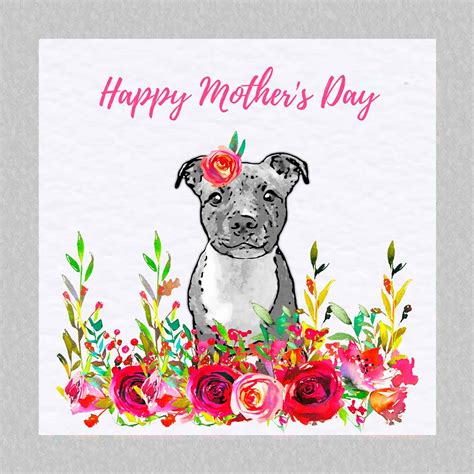 Pin By The Sassy Staffie Ts Car On Staffie Cards Dog Mothers