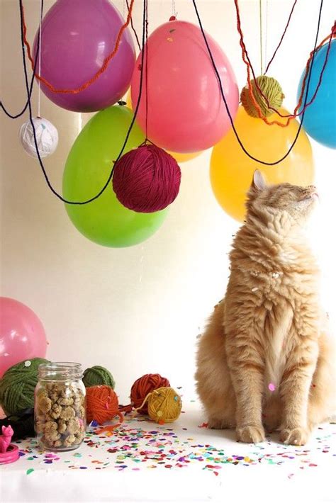 Everyone makes toys with catnip, and catnip is definitely a cat favorite, but there is another herb add a good handful of catnip, a pinch of valerian, and stuff to your hearts content with the mullein. Tuna Catnip Kitty Treats in 2020 | Cat treats, Cat party ...