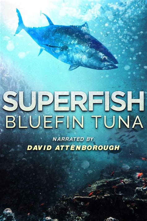 Superfish Bluefin Tuna The Poster Database Tpdb