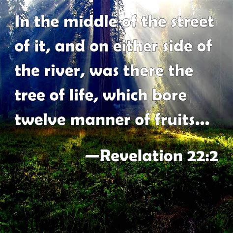The tree of life in eden was a literal tree with literal fruit, as will be the tree of life in the new jerusalem following the millennium (revelation (in genesis 1:12, god introduced an unchangeable statement concerning trees. Revelation 22:2 In the middle of the street of it, and on ...