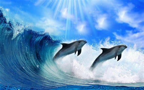 Wallpaper Dolphins Wallpapersafari