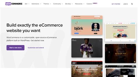 What Is Woocommerce A Guide To Wordpress E Commerce